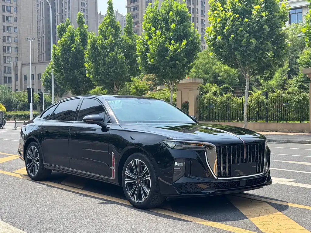Hongqi H9 2024 2.0T Luxury