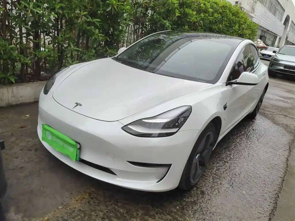 Tesla Model 3 2020