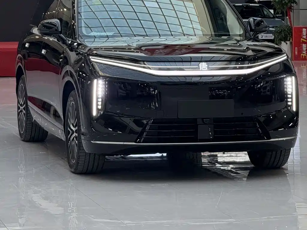 BYD Datang — миниатюра 3