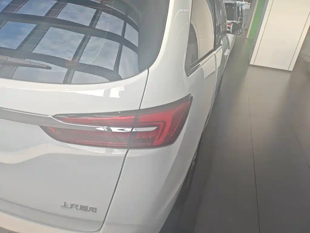 Buick GL8 — миниатюра 8