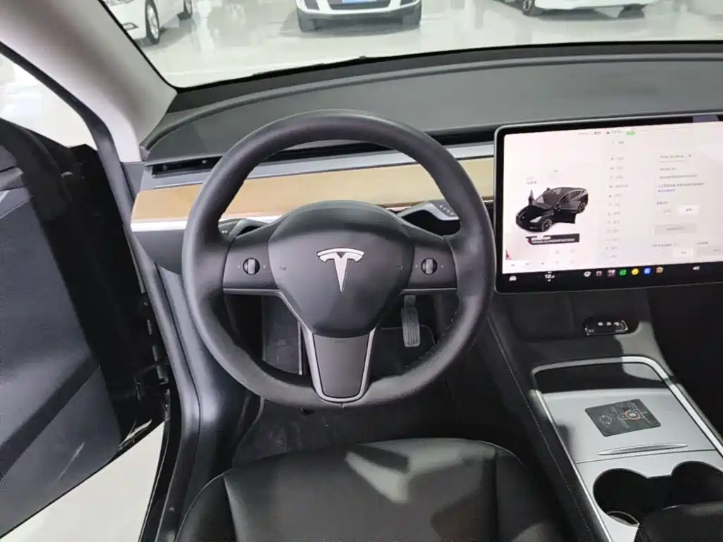 Tesla Model Y — миниатюра 11
