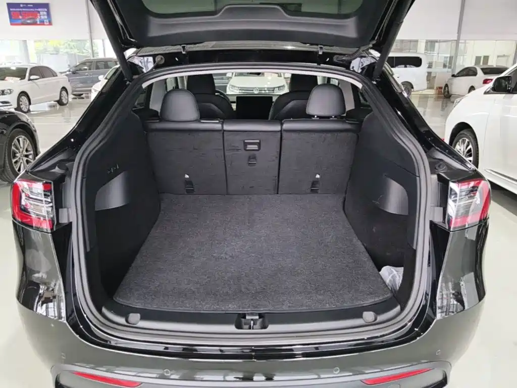 Tesla Model Y — миниатюра 19