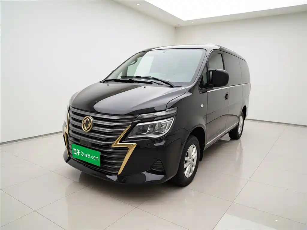 Fengxing Lingzhi 2020