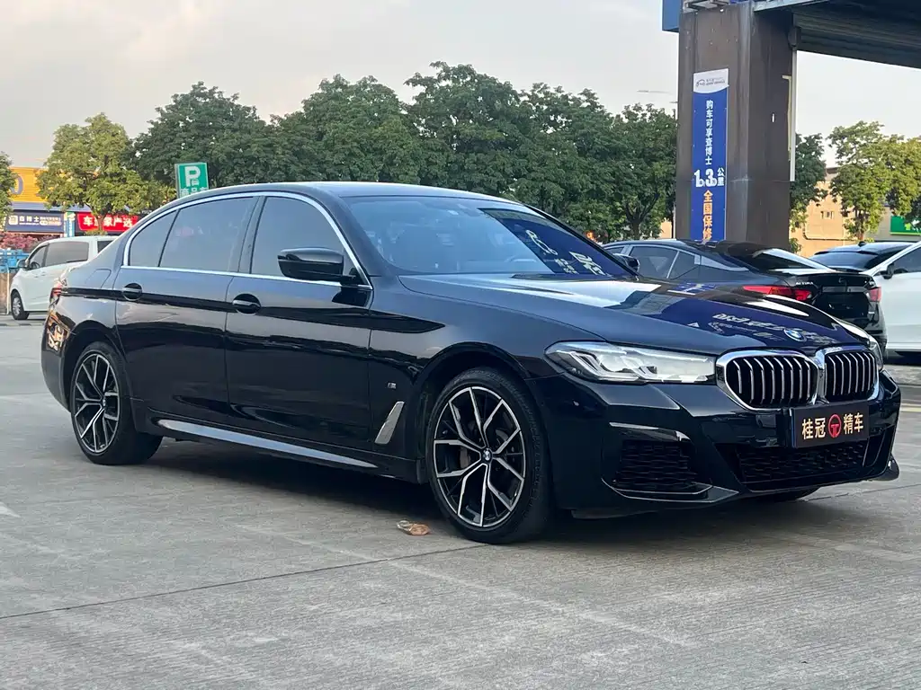 BMW 5 Series — миниатюра 3