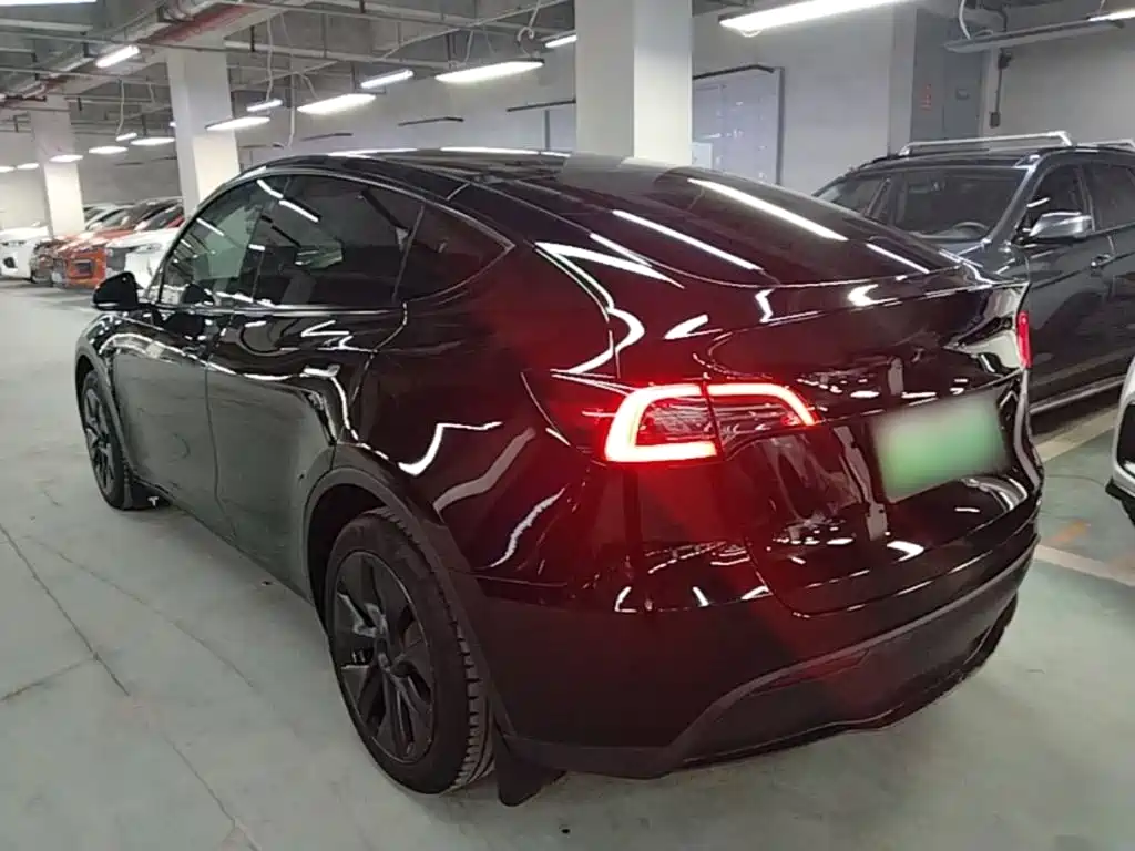 Tesla Model Y — миниатюра 5