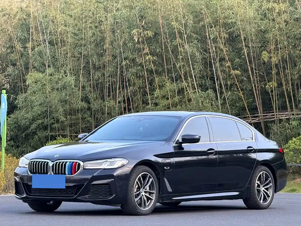 BMW 5 Series New Energy 2023