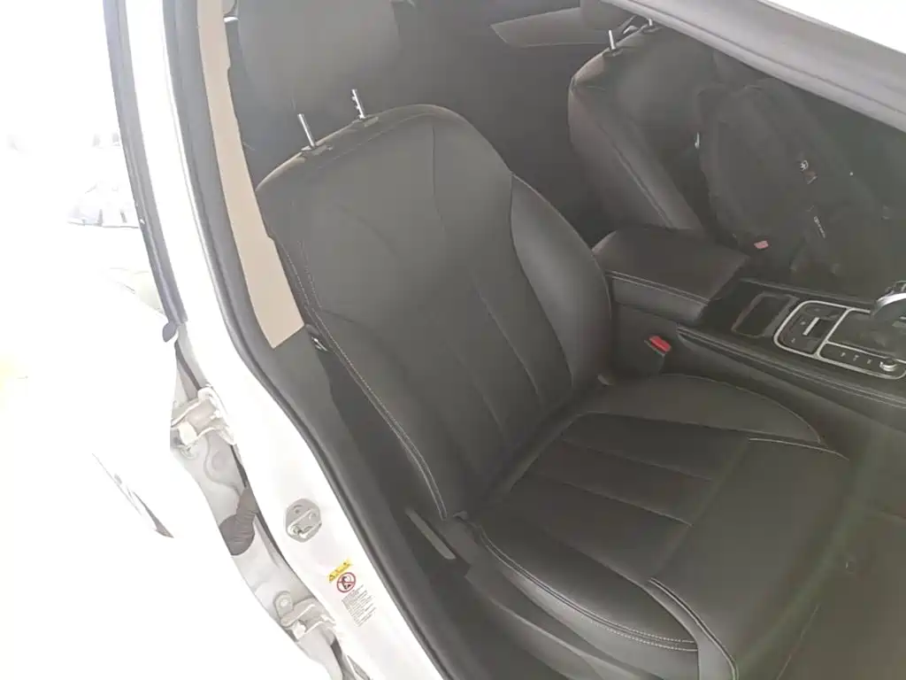 BYD MAX — миниатюра 25