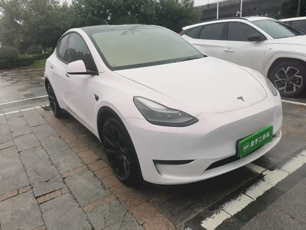 Tesla Model Y — миниатюра 4