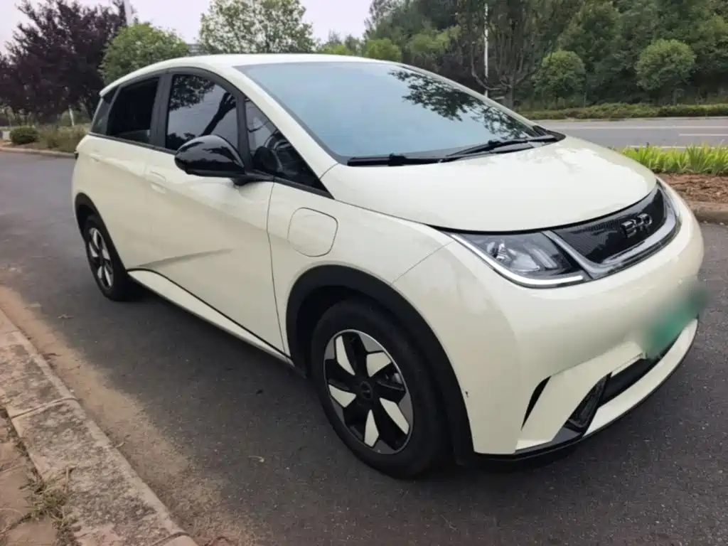 BYD Dolphin — миниатюра 4