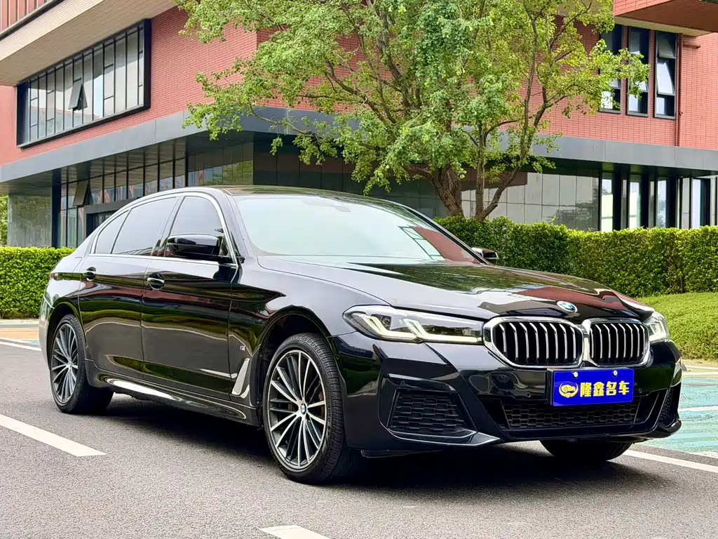 BMW 5 Series — миниатюра 3