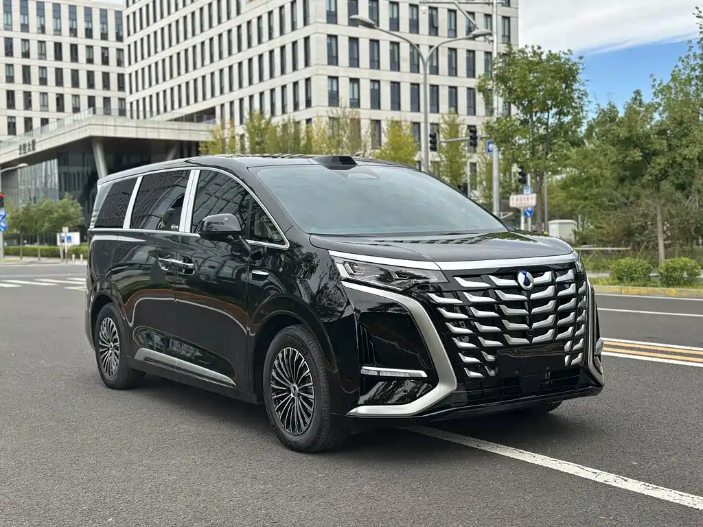 Denza Denza D9 — миниатюра 3