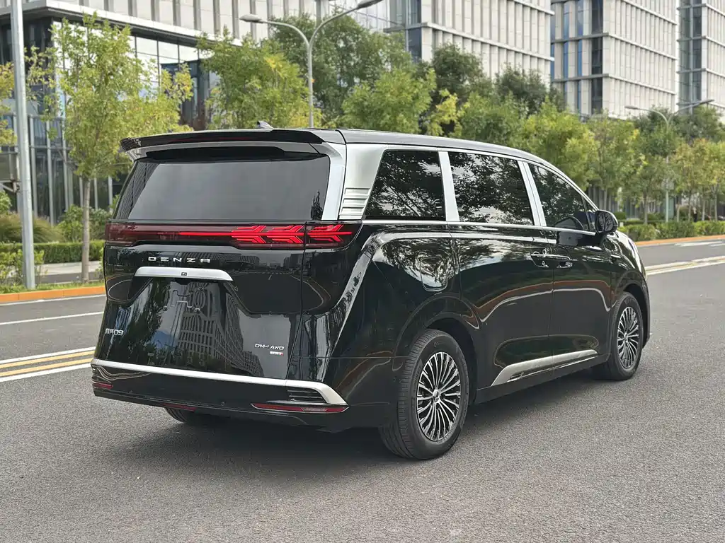 Denza Denza D9 — миниатюра 7