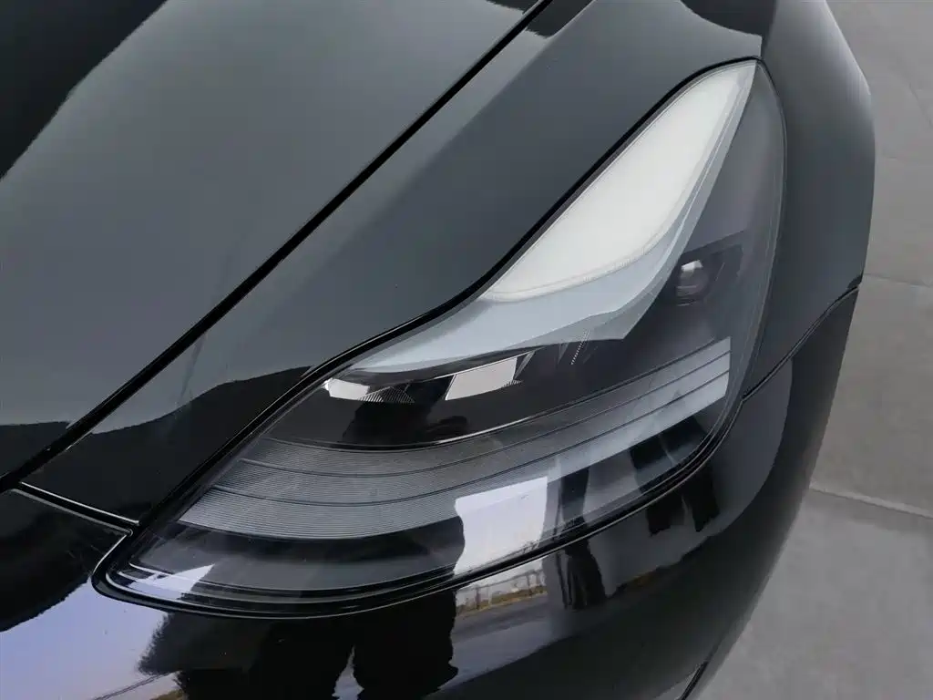 Tesla Model 3 2021 Performance