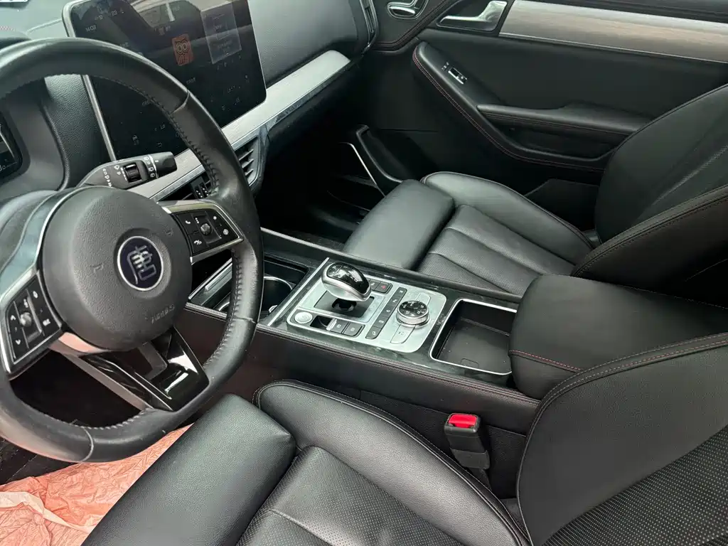 BYD Tang New Energy — миниатюра 4