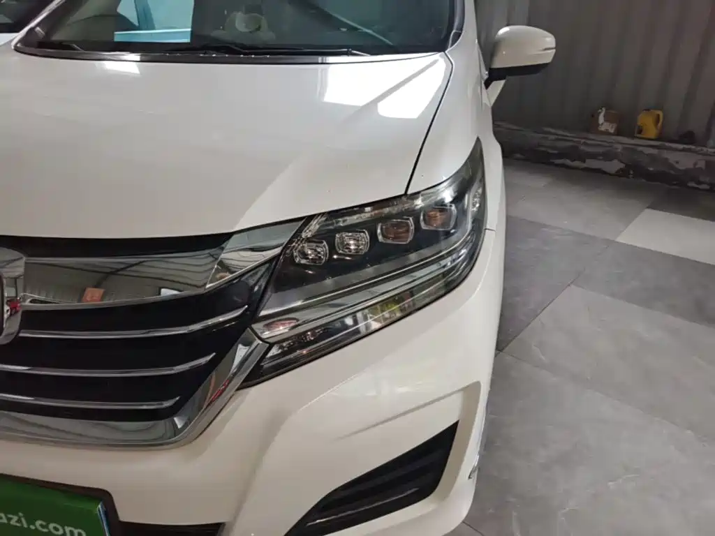 Honda Elysion — миниатюра 24