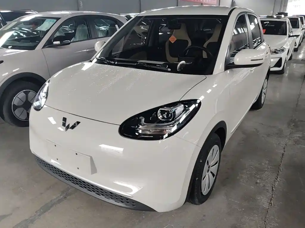 Wuling Bingo