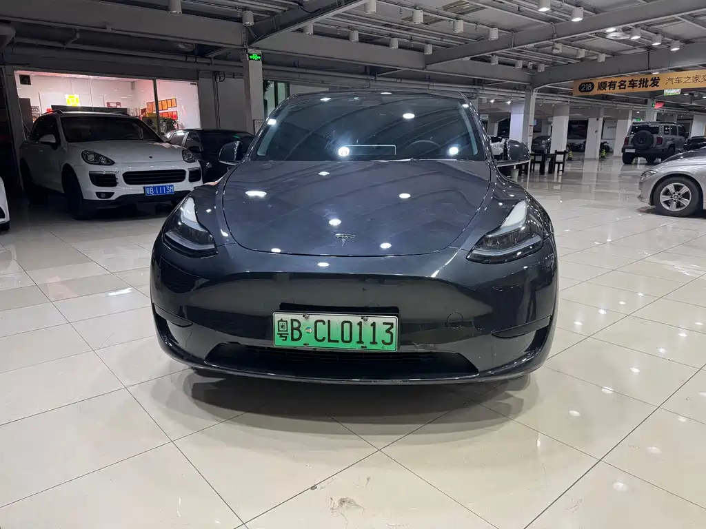 Tesla Model Y — миниатюра 2