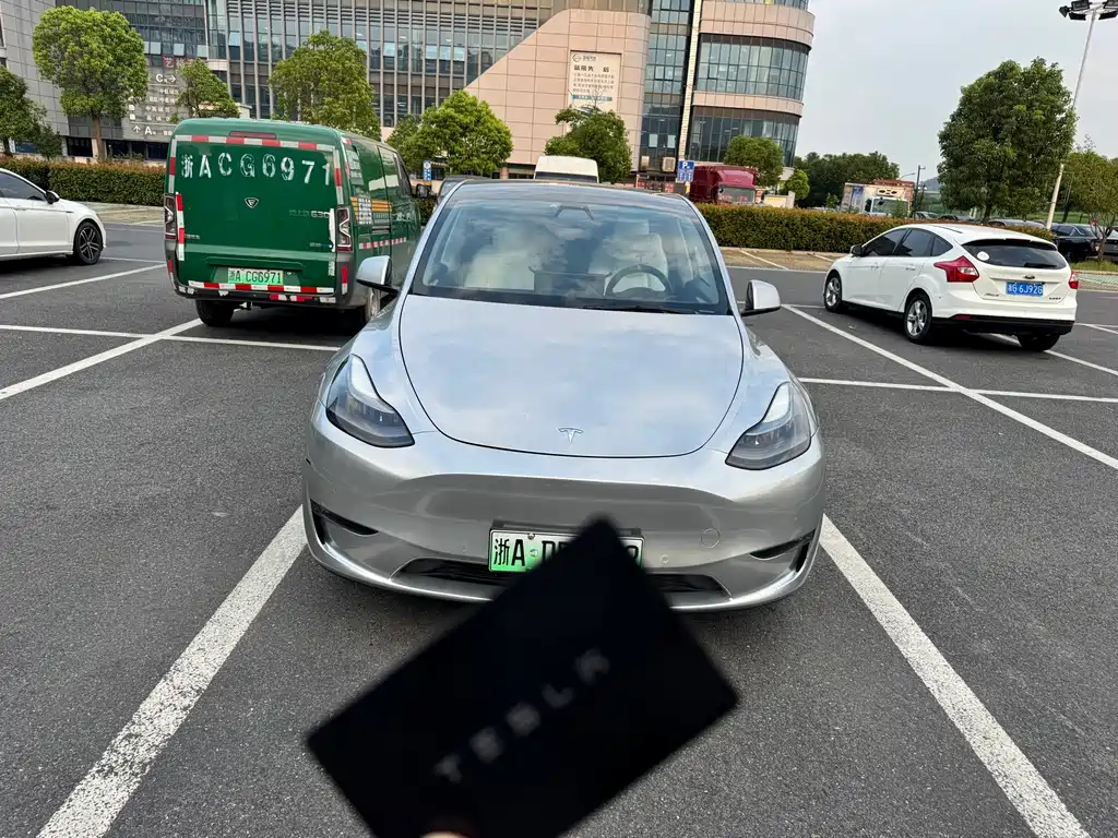 Tesla Model Y — миниатюра 2