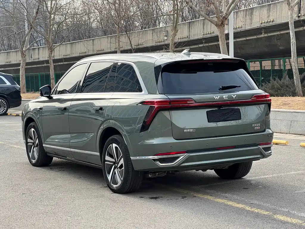 WEI PAI WEI BRAND BLUE MOUNTAIN