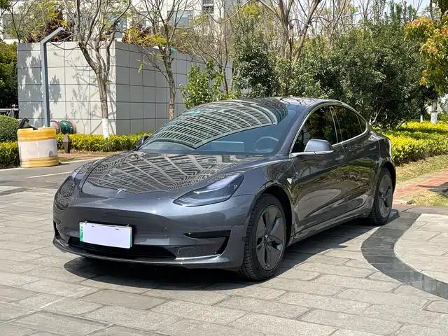 TESLA MODEL 3 2020