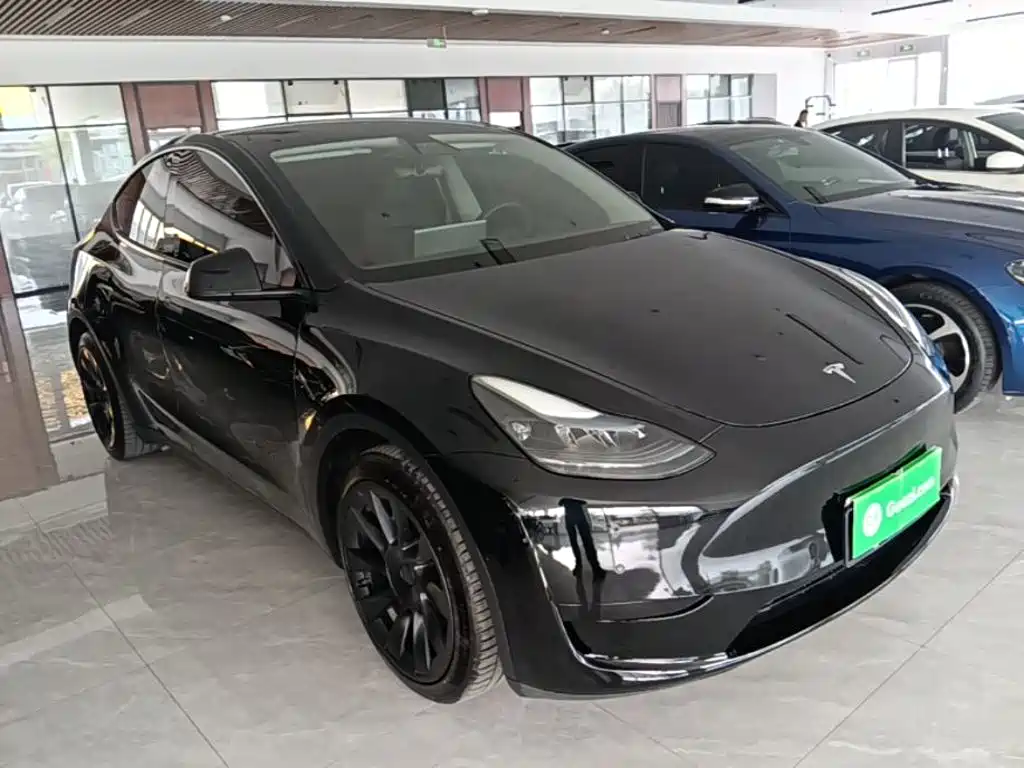 Tesla Model Y — миниатюра 4