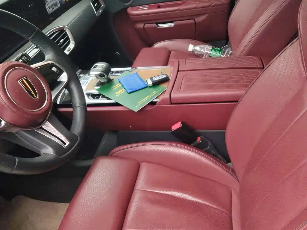 Hongqi E-HS9 2021 510km мест
