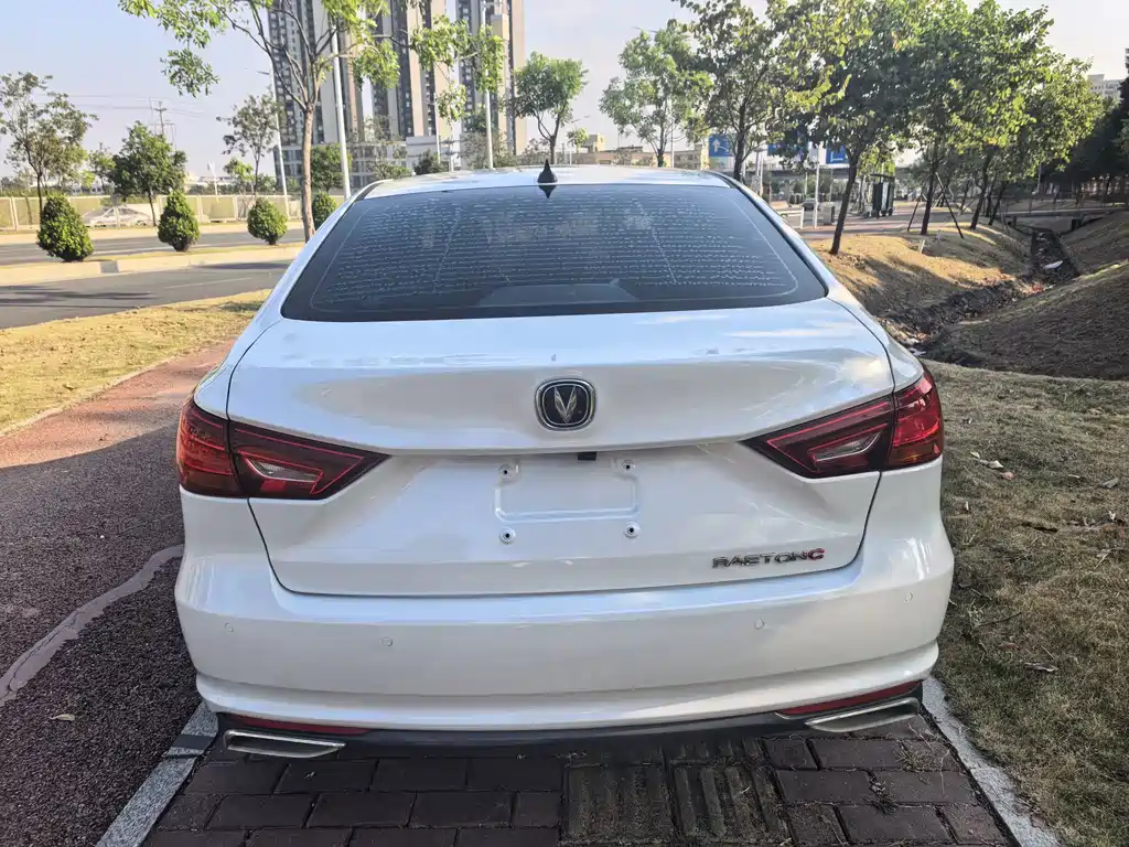 Changan Ruicheng CC — миниатюра 13
