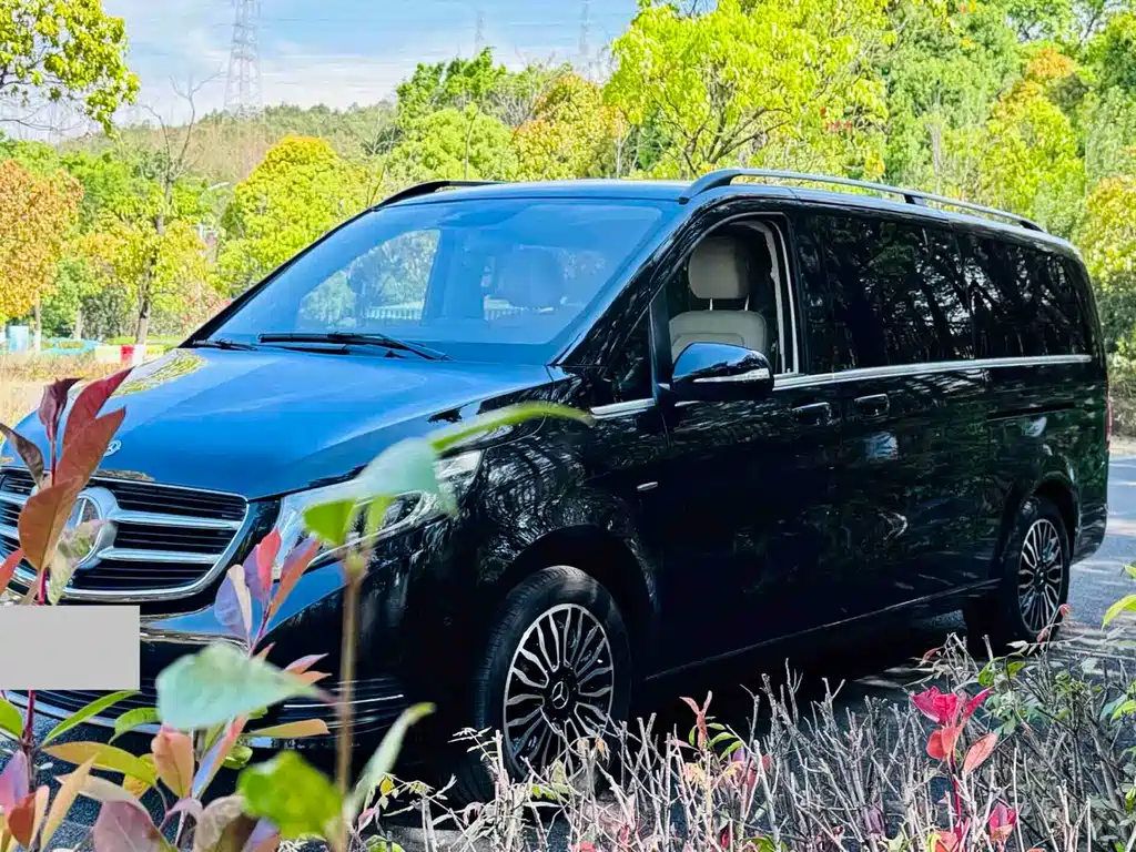 Mercedes-Benz V-Class 2018