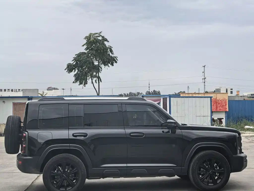 HAVAL RAPTORS NEW ENERGY