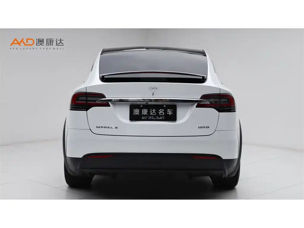 Tesla Model X 2017 Model X 100D