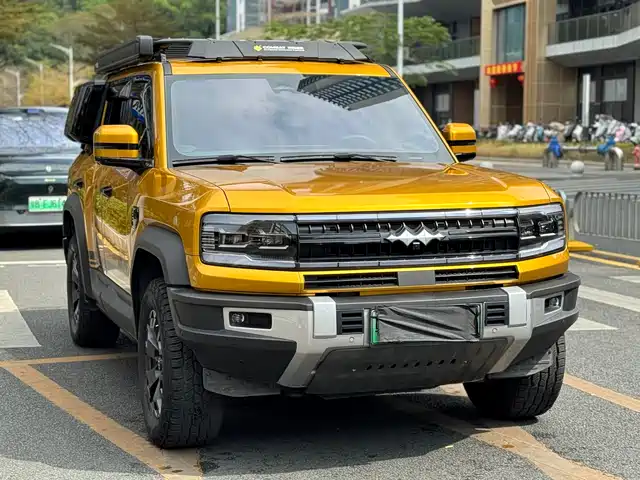 fang-cheng-bao leopard-5