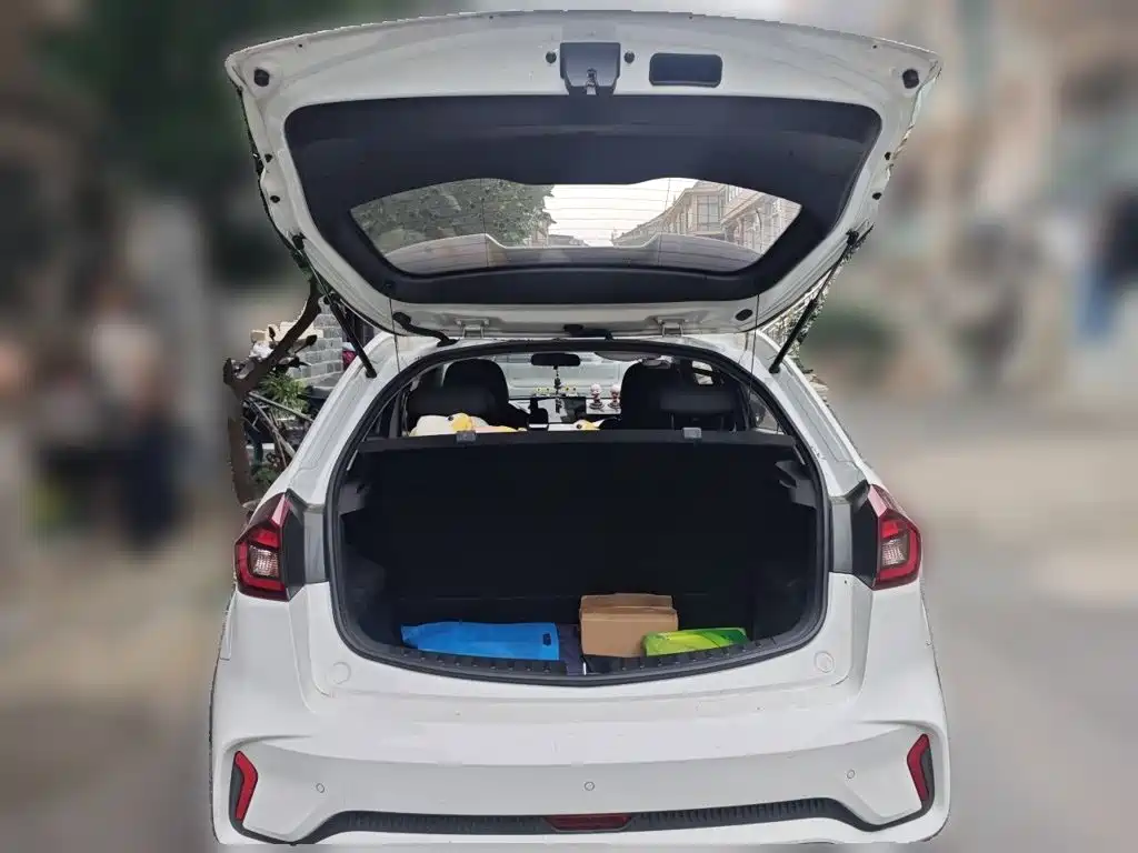 Geely Vision X3 — миниатюра 10