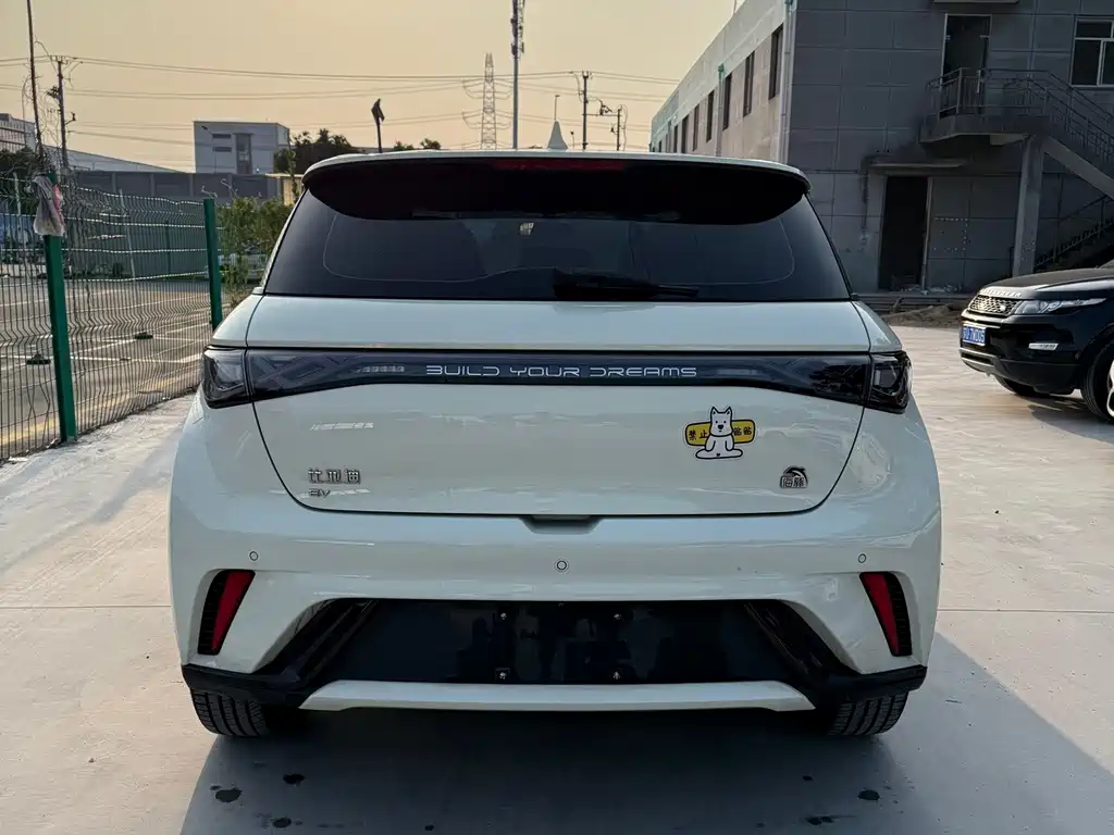 BYD Dolphin — миниатюра 11