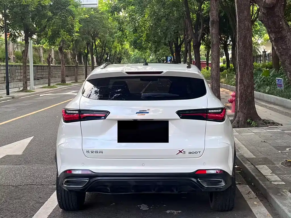 Oshan Oushang X5 — миниатюра 18