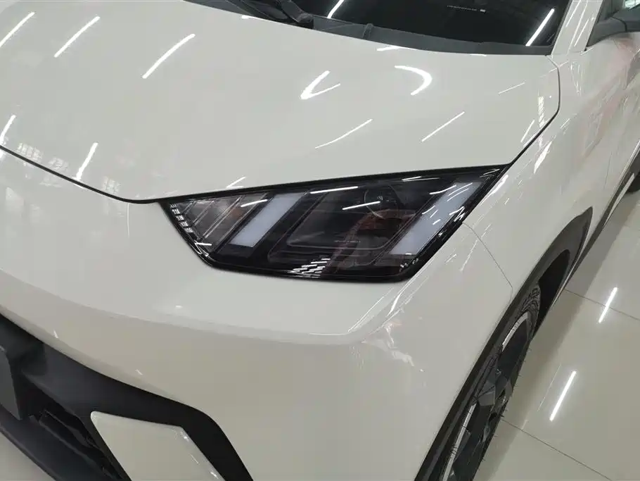BYD Seagull 2024 305km Freedom