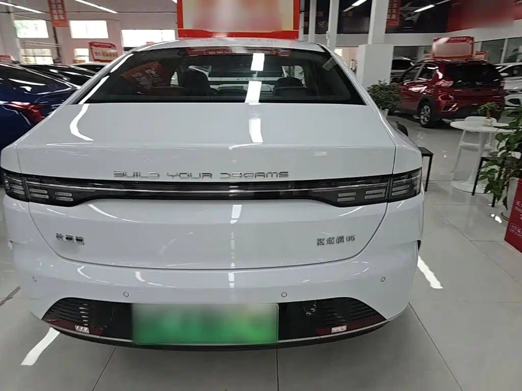 BYD Destroyer 05 2023 Champion DM-i 55KM Luxury