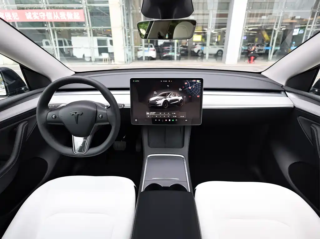 Tesla Model Y — миниатюра 9