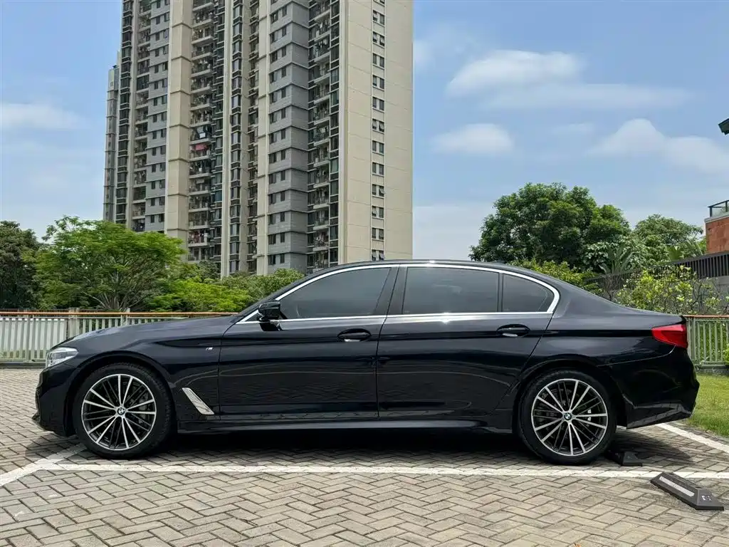 BMW 5 Series 5 2020 530Li Premium M Sport