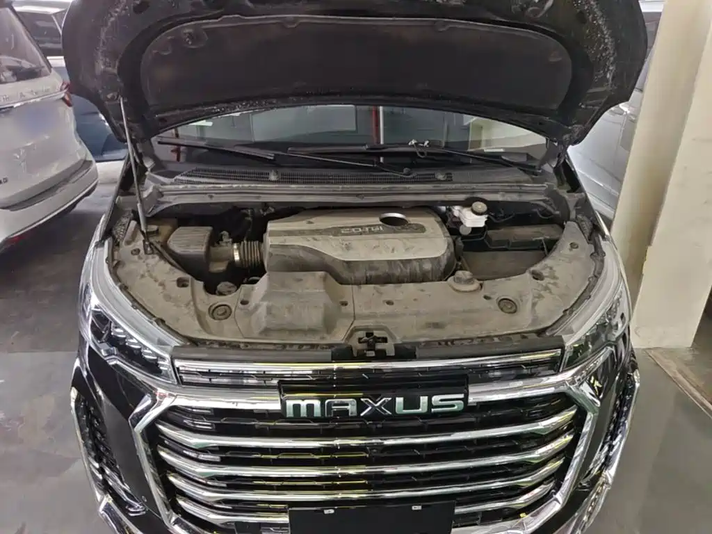 MAXUS G20 — миниатюра 20