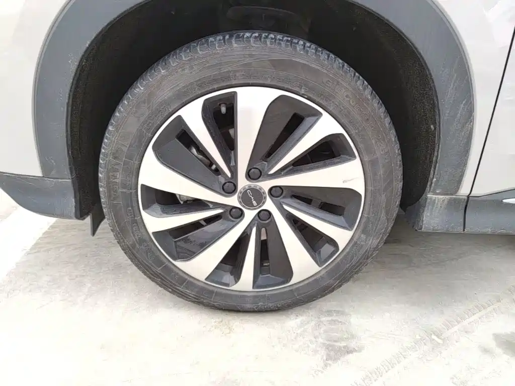 BYD PLUS New Energy — миниатюра 23