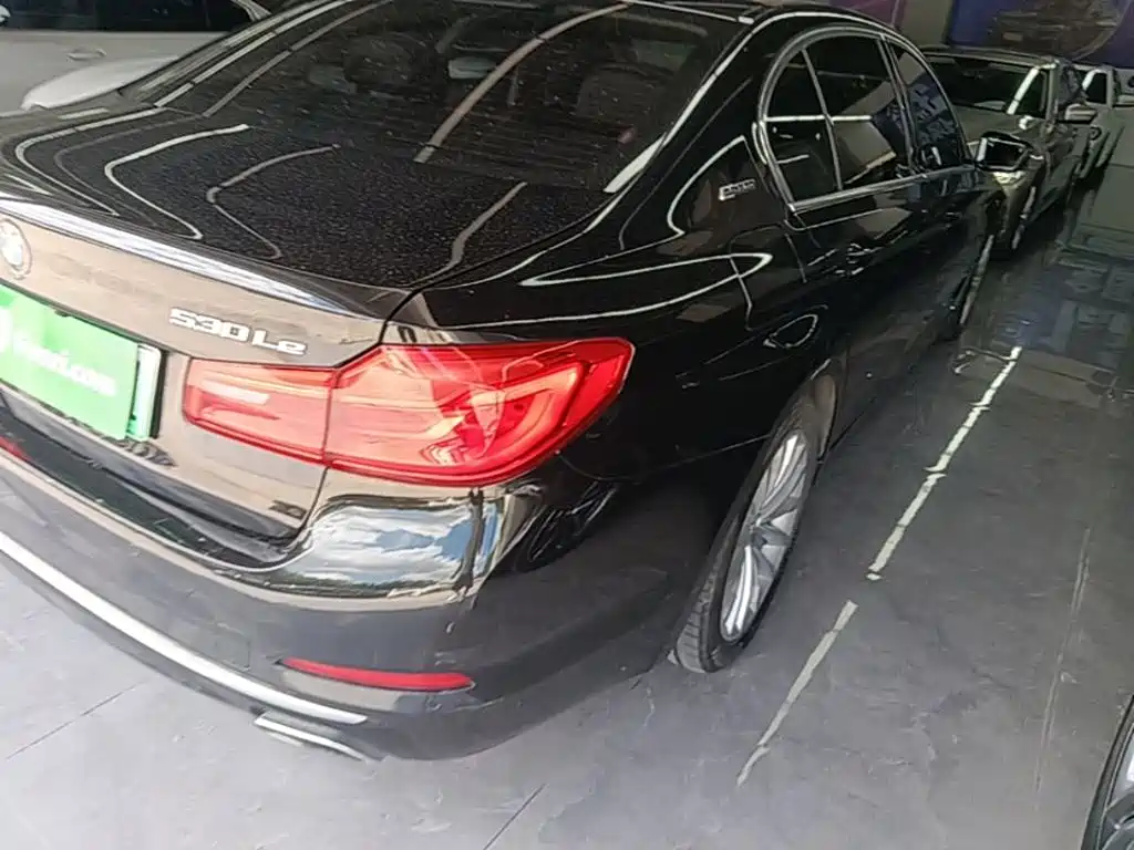 BMW 5 Series 5 2019 530Le