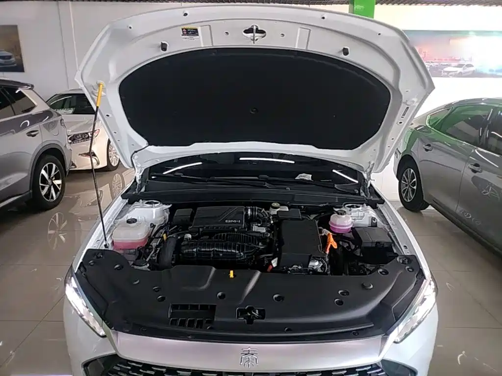 BYD Qin PLUS — миниатюра 20