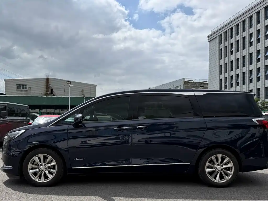 Buick GL8 — миниатюра 21