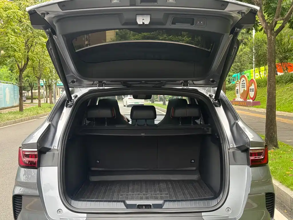 BYD PLUS — миниатюра 15