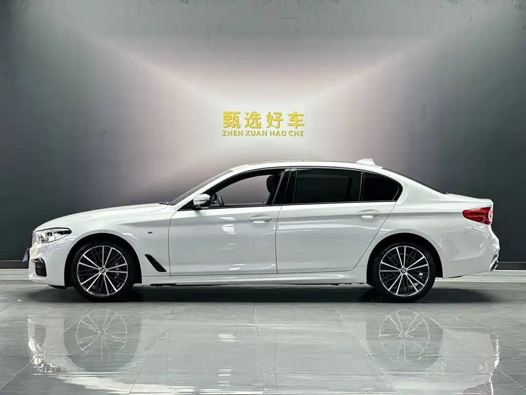 BMW 5 Series — миниатюра 3