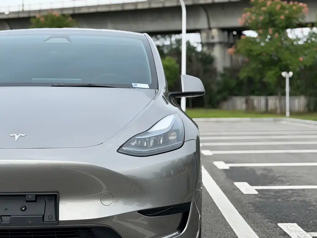 Tesla Model Y — миниатюра 23