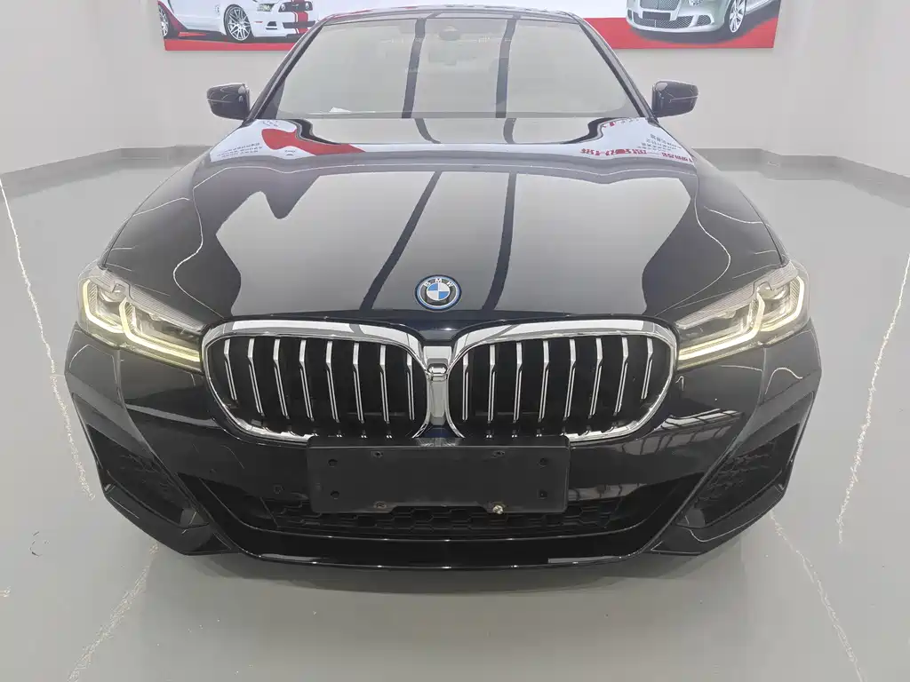 BMW 5 Series New Energy — миниатюра 2