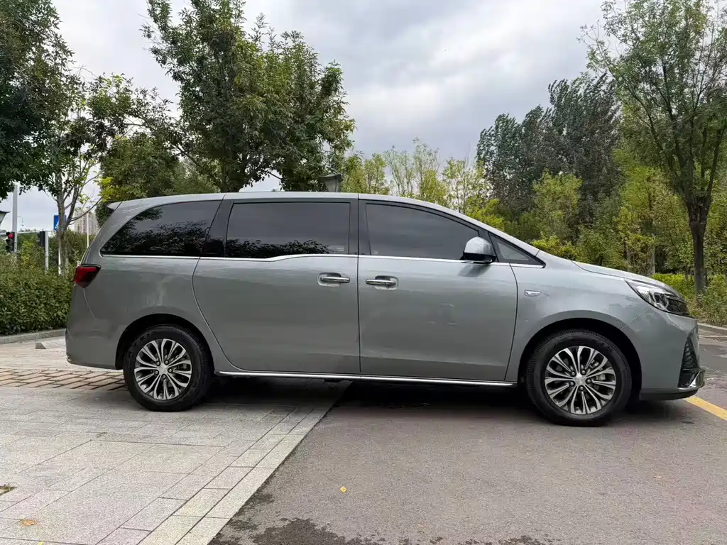 Buick GL8 — миниатюра 5