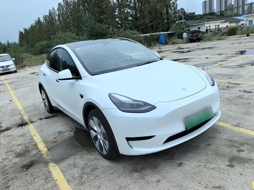 Tesla Model Y — миниатюра 4