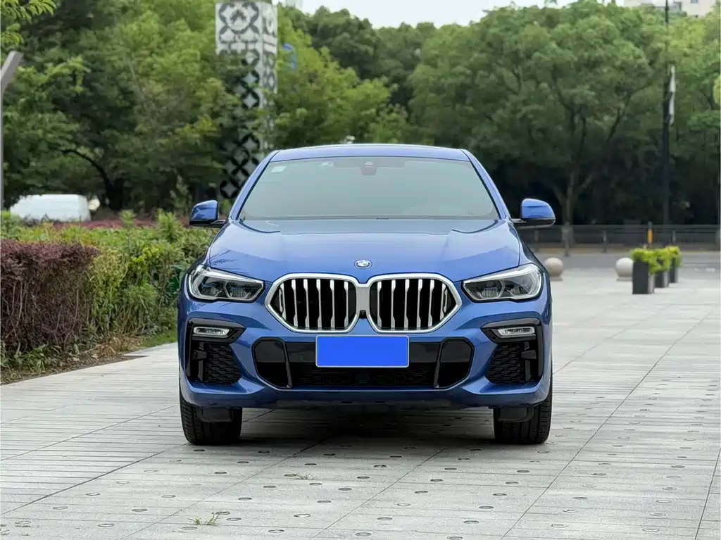 BMW X6 2020 xDrive40i M Sport